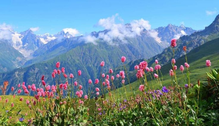 مشروع طعام مسكين6